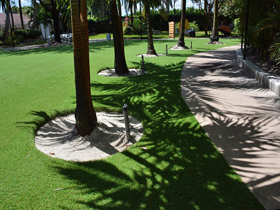 Artificial Grass Installation Chino Hills, California Dog Running, Commercial Landscape