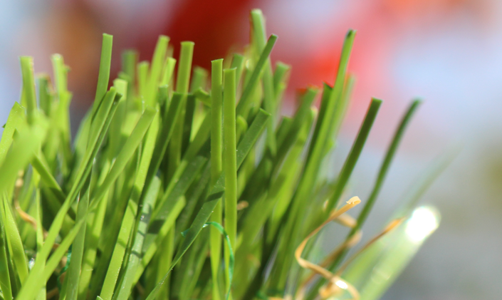 Artificial Grass Spring-46 Artificial Grass Los Angeles, California