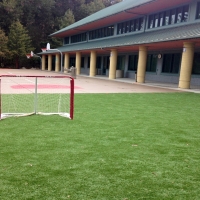 Artificial Grass Carpet Aguanga, California High School Sports, Commercial Landscape