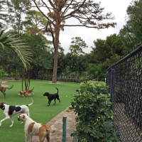 Artificial Lawn Benton, California Pet Paradise, Commercial Landscape