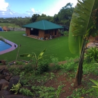 Artificial Lawn Loyola, California Landscaping Business, Kids Swimming Pools