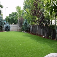 Artificial Turf El Portal, California Landscape Photos, Small Backyard Ideas