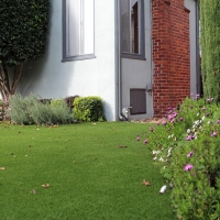 Fake Grass Cedar Ridge, California Gardeners, Small Front Yard Landscaping