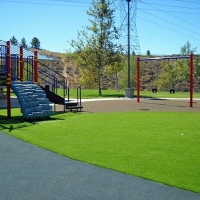 Fake Grass Selma, California Kids Indoor Playground, Recreational Areas