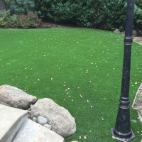 Fake Turf East Oakdale, California Design Ideas, Backyard Landscape Ideas