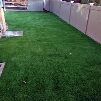 Fake Turf Winterhaven, California Paver Patio, Backyard