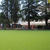 Grass Carpet Tarpey Village, California Paver Patio, Recreational Areas