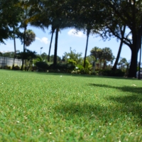 Grass Turf Bonny Doon, California Backyard Playground, Recreational Areas