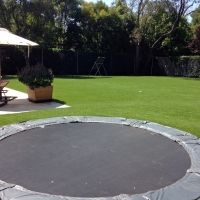 Grass Turf Shandon, California Garden Ideas, Backyard Landscaping