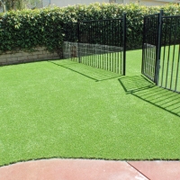 Green Lawn Ballico, California City Landscape, Front Yard Landscaping