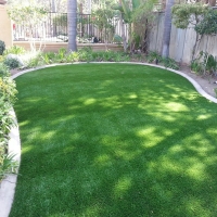 Outdoor Carpet Escalon, California Lawn And Garden