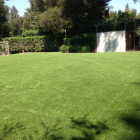 Plastic Grass Lost Hills, California Backyard Sports, Backyard Makeover