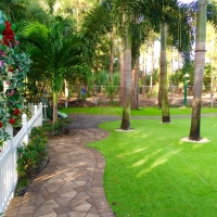 Synthetic Grass Columbia, California Landscape Ideas, Backyard Garden Ideas