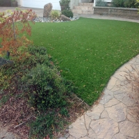 Synthetic Grass Cost Biola, California Artificial Grass For Dogs, Backyard Designs