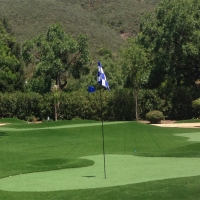 Synthetic Grass Soquel, California Backyard Putting Green