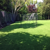 Synthetic Lawn Temecula, California Landscape Design, Backyard Designs