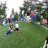 Synthetic Turf Rosedale, California Rooftop, Recreational Areas