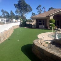 Turf Grass Heber, California Indoor Putting Green, Backyard Ideas