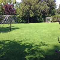 Turf Grass Quartz Hill, California Backyard Deck Ideas, Backyard Garden Ideas