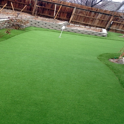 Artificial Grass Carpet Crows Landing, California Home And Garden, Backyard Landscaping Ideas