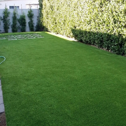 Artificial Grass Carpet La Mesa, California Backyard Playground, Backyard Garden Ideas