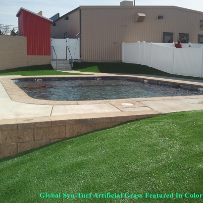 Artificial Grass Carpet North Glendale, California Roof Top, Kids Swimming Pools
