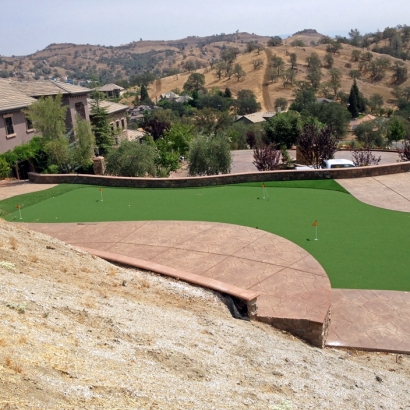 Artificial Grass Carpet Vincent, California Landscape Ideas, Backyard Garden Ideas