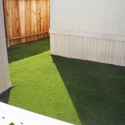 Artificial Grass Installation Bishop, California Pet Paradise, Backyard Designs