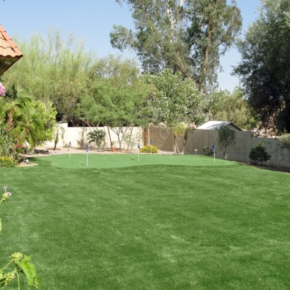 Artificial Grass Installation Phelan, California Putting Green Grass, Backyard