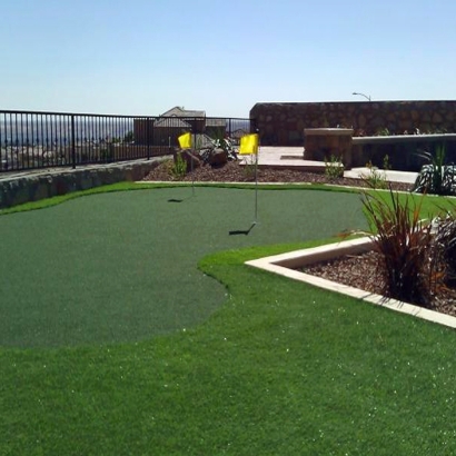 Artificial Grass Installation Santa Monica, California Landscape Photos