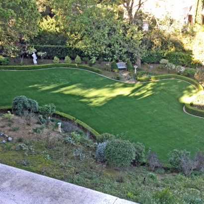 Artificial Grass Mount Hermon, California Indoor Dog Park, Backyard Designs