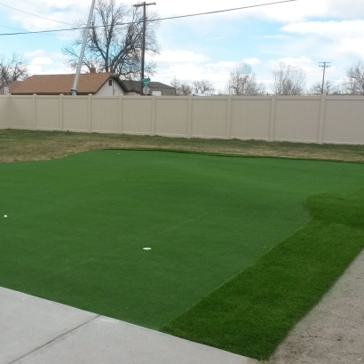 Artificial Grass Seven Trees, California Indoor Putting Green, Backyard Landscaping Ideas