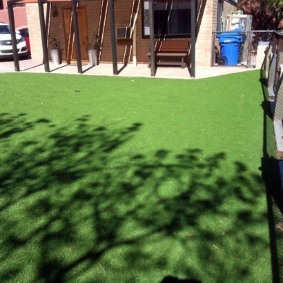 Artificial Lawn Ceres, California Landscape Design, Backyard Landscaping Ideas