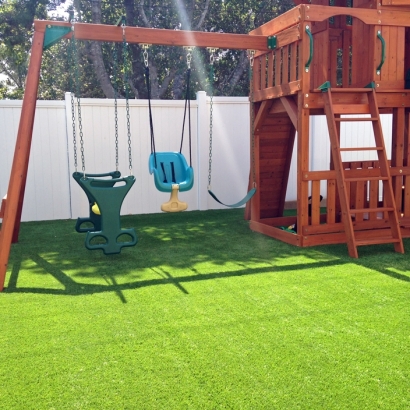 Artificial Lawn Montecito, California Playground Safety, Backyard Ideas