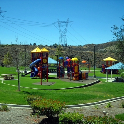 Artificial Turf Cost Creston, California Backyard Playground, Recreational Areas