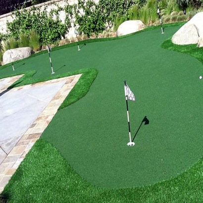 Artificial Turf Cost Mesa, California Design Ideas, Backyard Landscape Ideas