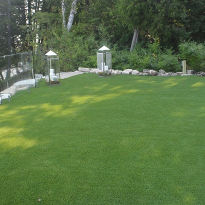 Artificial Turf Cost Mountain Ranch, California Landscape Design, Beautiful Backyards