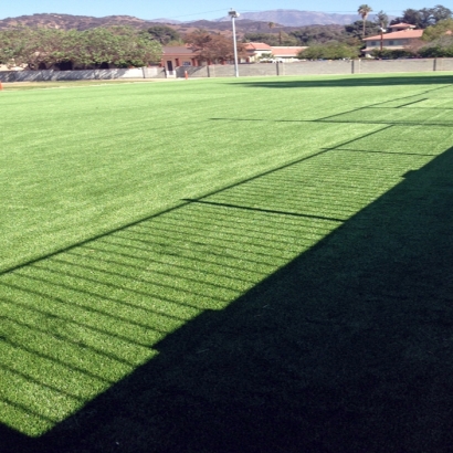 Artificial Turf Cost Riverdale, California Stadium