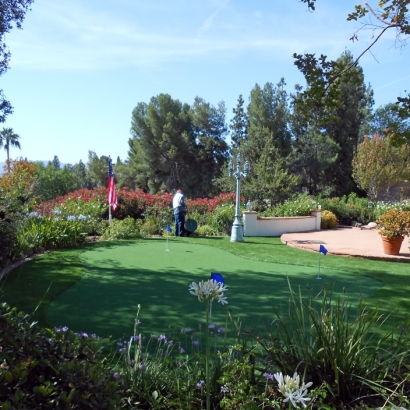 Artificial Turf Santa Barbara, California Landscape Design, Small Backyard Ideas