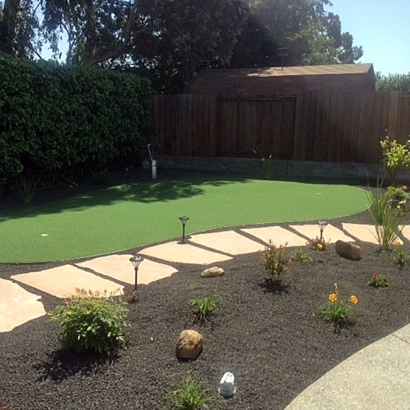 Artificial Turf Shoshone, California Indoor Putting Greens, Backyard Garden Ideas