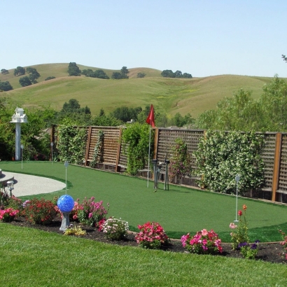 Best Artificial Grass La Vina, California Backyard Playground, Backyard Garden Ideas