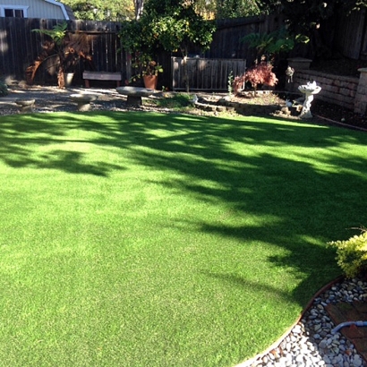 Best Artificial Grass Rio Del Mar, California Landscaping Business, Backyard Garden Ideas