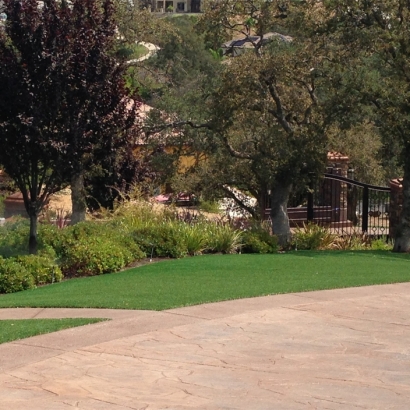 Best Artificial Grass Riverdale Park, California Lawn And Landscape, Backyard Designs