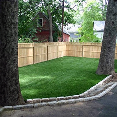 Best Artificial Grass Weedpatch, California Dog Run, Backyard Landscaping Ideas