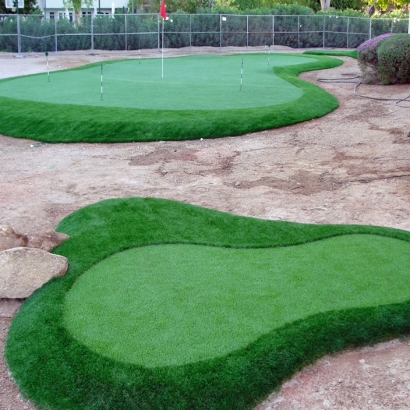 Fake Grass Camp Pendleton North, California Outdoor Putting Green, Front Yard Landscape Ideas