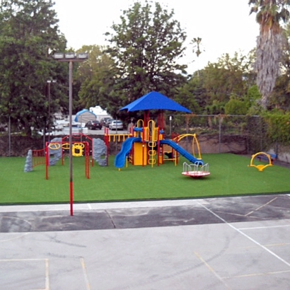 Fake Grass Carpet Darwin, California Landscape Ideas, Commercial Landscape