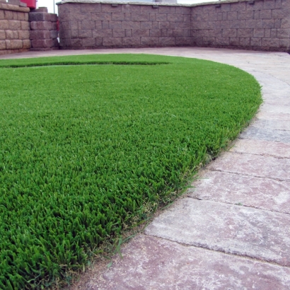 Fake Grass Carpet Ducor, California Dog Pound, Pavers