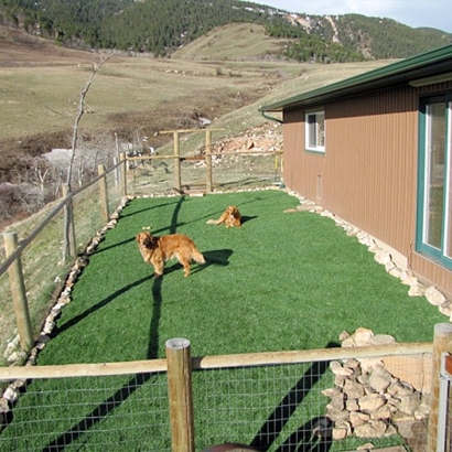 Fake Grass Carpet Lakewood, California Landscape Design, Dogs Park
