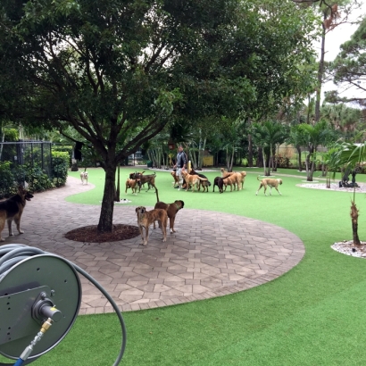 Fake Grass Carpet Livingston, California Artificial Turf For Dogs, Commercial Landscape