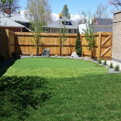 Fake Grass Carpet Los Alamitos, California Putting Green Flags, Backyard Landscaping